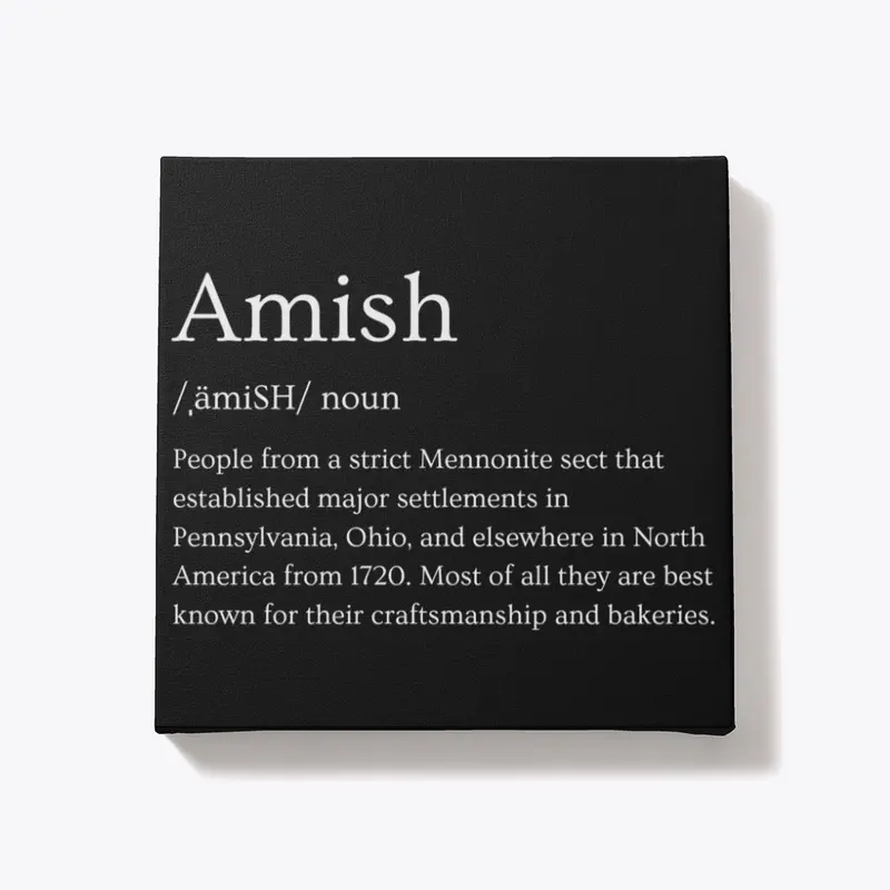 Amish definition 